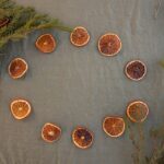 Customizable Remote Settings: The Ultimate Pet Toy Hack for Every Pet Parent