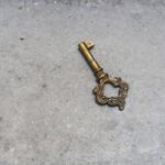 Emergency Unlock Features: Why Every Pet Owner Needs Them for Pet Toys & Accessories