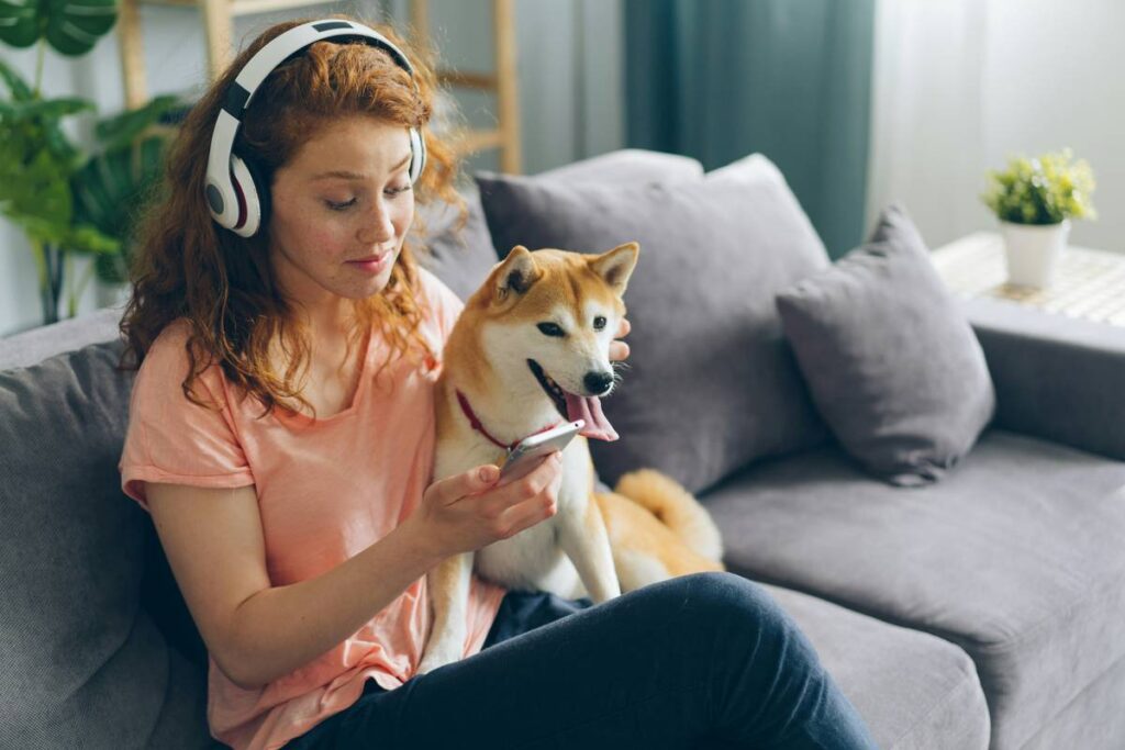 Universal Device Support: The Secret to Hassle-Free Pet Toys & Accessories