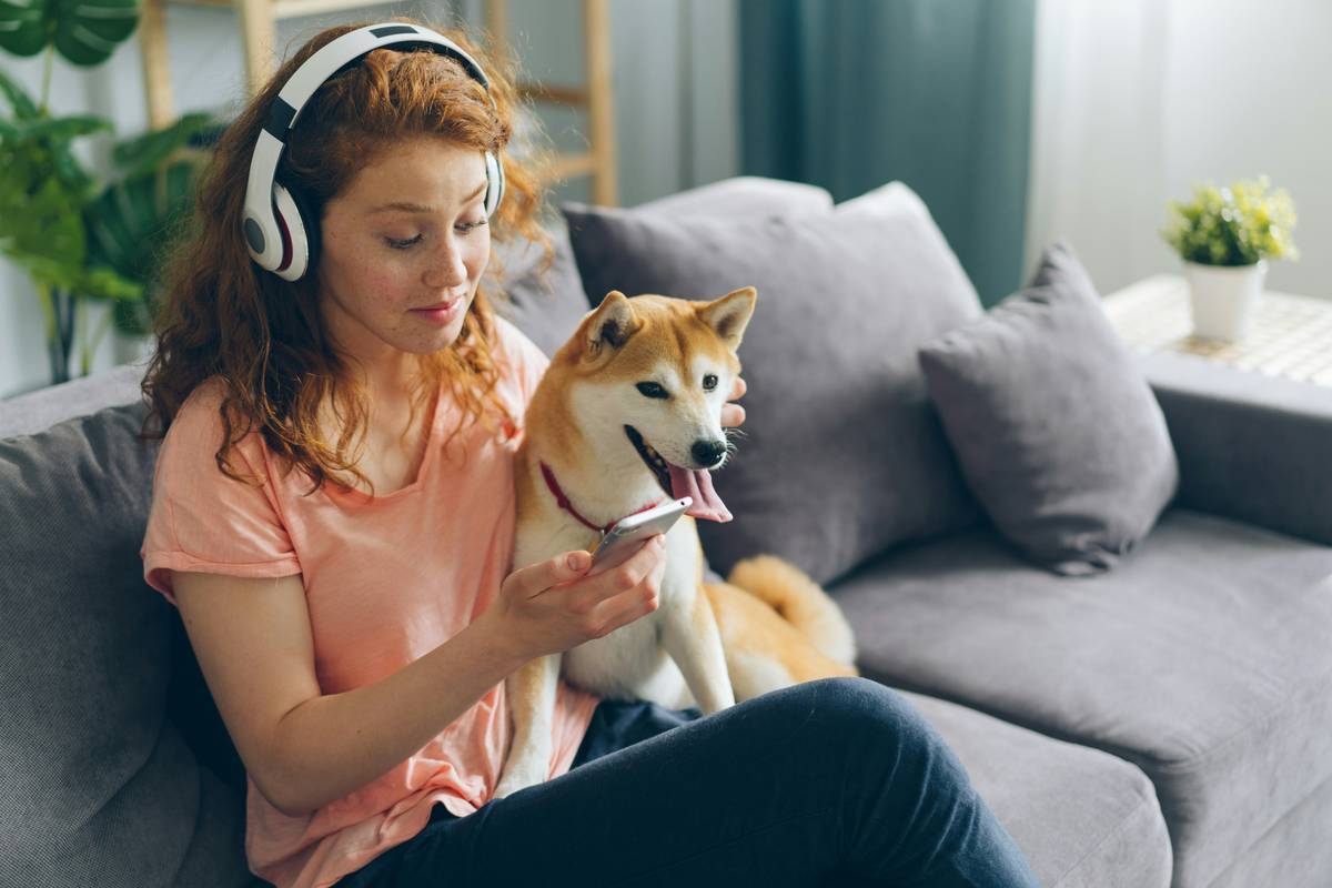 Universal Device Support: The Secret to Hassle-Free Pet Toys & Accessories