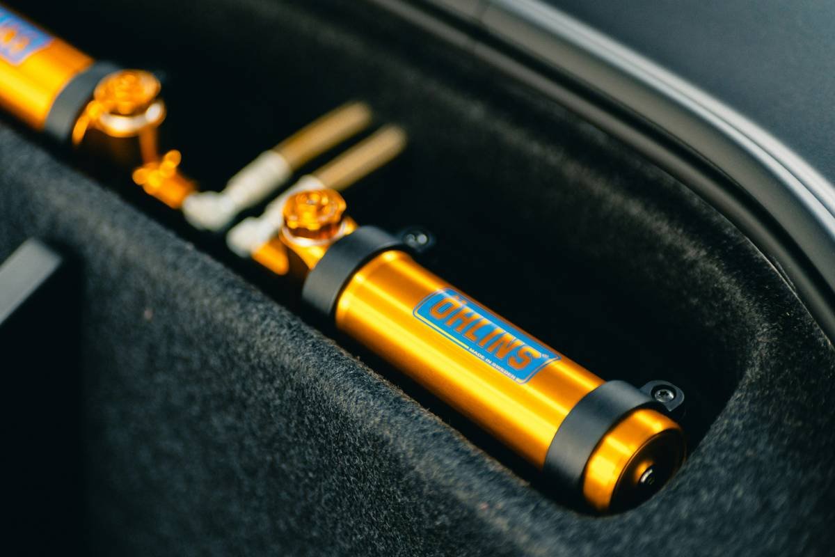 A bored-looking cat sitting next to an untouched toy