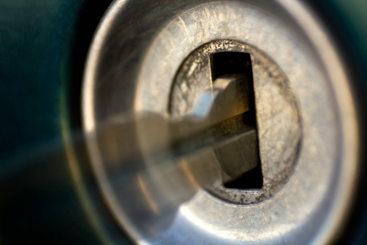 Comparison table showing free vs. paid pet lock options