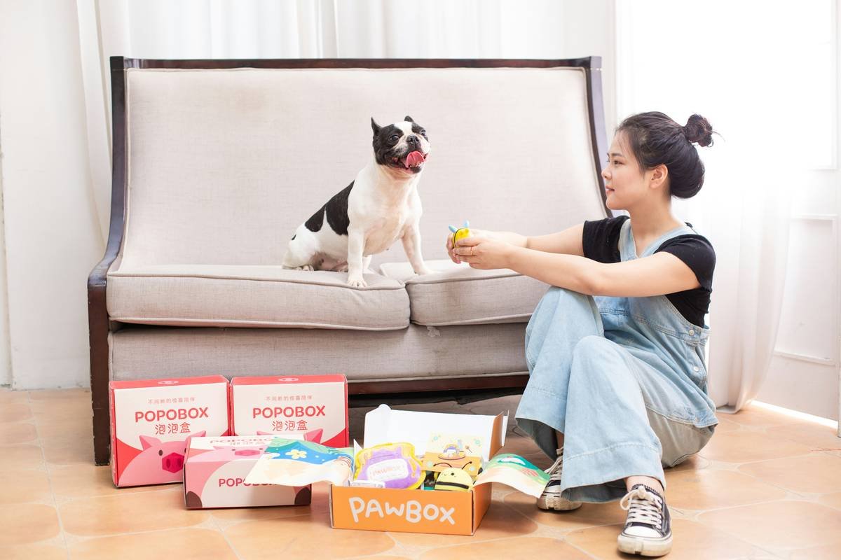 Diagram showing compatible pet toy systems working seamlessly