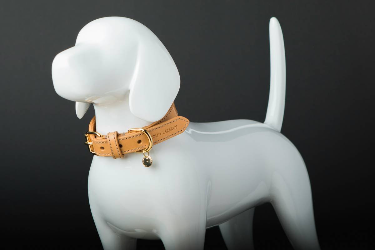 Cross-section diagram of a pet toy showing weak points: exposed hinges, glued seams, and an unshielded refill port labeled as manual override risks