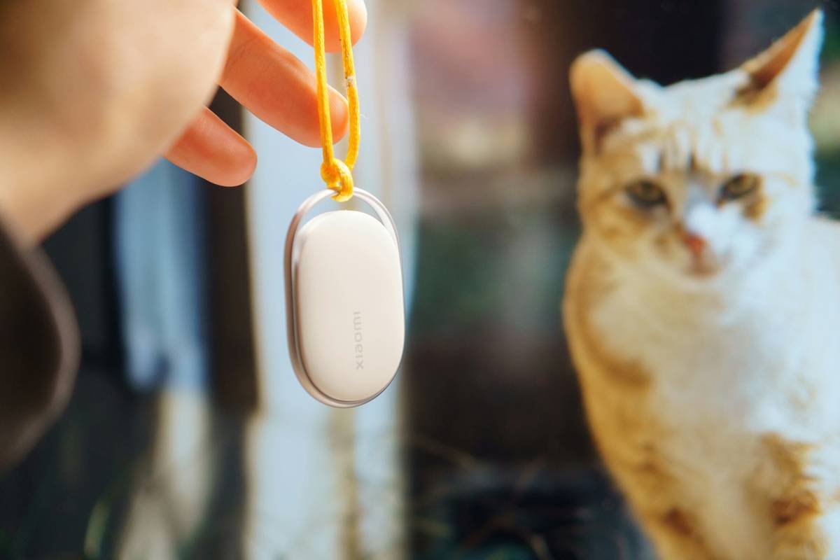 Manual Override Buttons on Pet Toys: Your Secret Weapon for Safety, Sanity & Smart Play
