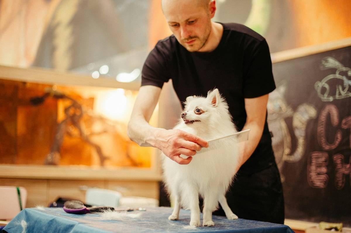 Why Your Pet Device Pairing Keeps Failing—And How to Fix It with Manual Override