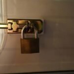 Why Your Pet’s Safety Depends on Understanding Pet Lock Technology (And How Manual Override Saves Lives)