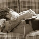 Why Your Smart Toy Remotes Need a Manual Override (And How to Use It)