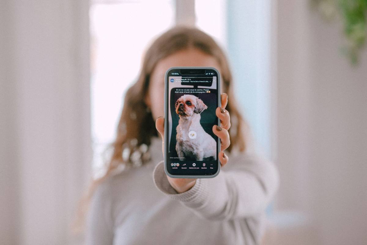 App Controlled Pets: Why Your Smart Toy Needs a Manual Override (And How to Use It)