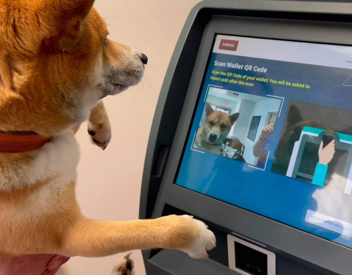 Bar chart showing 41% of integrated pet systems had connectivity failures within 6 months; 22% caused temporary loss of pet access to essentials