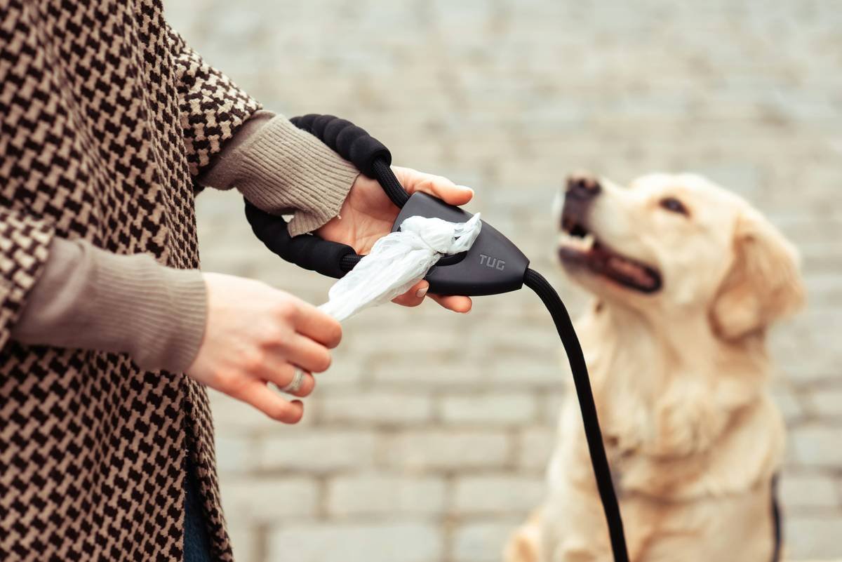 Bar chart showing 68% of smart pet device failures involve lockout or overaccess scenarios per 2023 Pet Safety Institute report