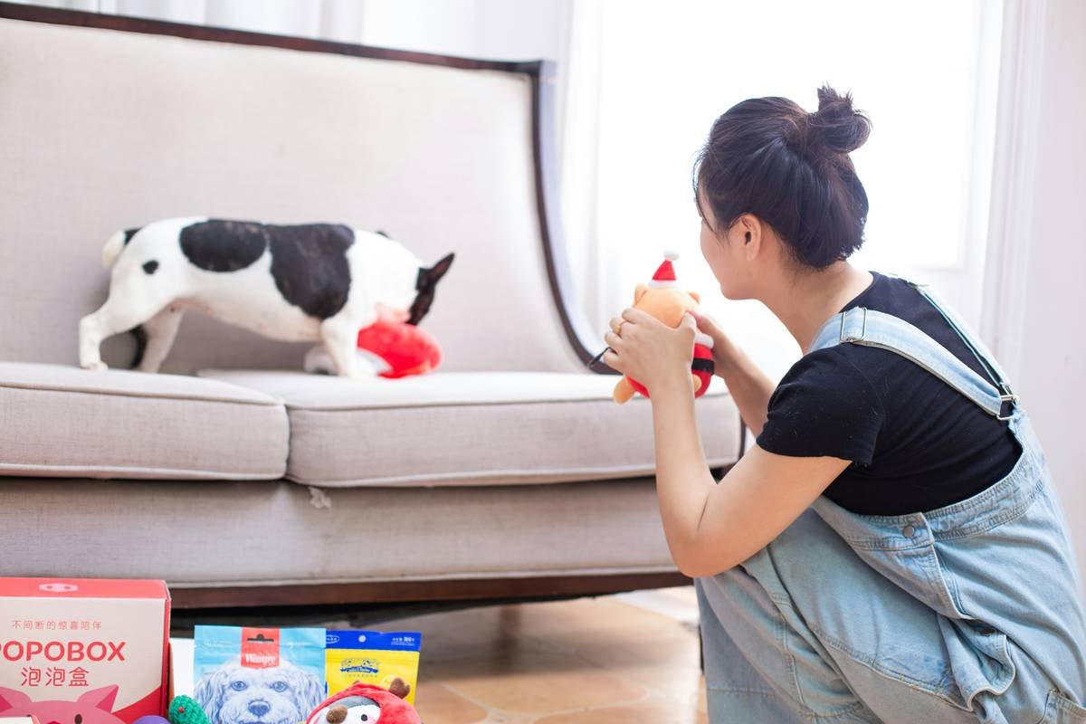 Bar chart showing 68% of smart pet device failures due to connectivity issues, 22% user error, 10% hardware defects