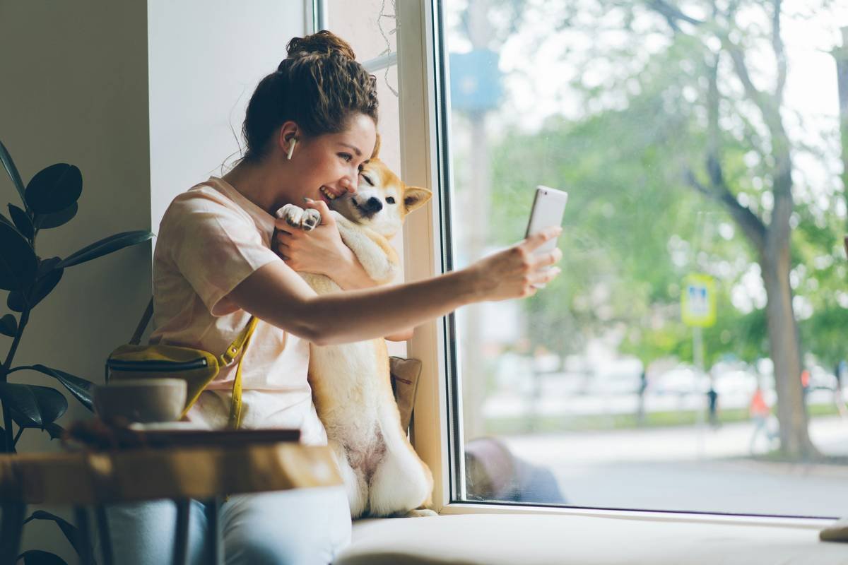 Remote Pet Play: Why Manual Override Isn’t a Fallback—It’s Your Secret Weapon