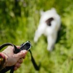 Why Your Pet Control Systems Need a Manual Override (And How to Choose the Right One)