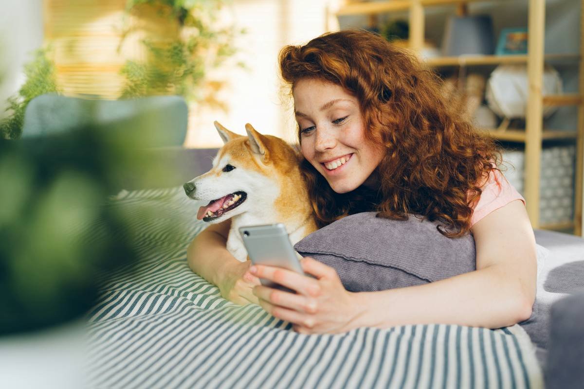 Why Your Pet’s App-Based Controls Need a Manual Override (And How to Use It Right)
