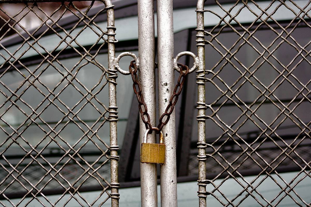Why Your Pet’s Safety Depends on Understanding Pet Lock Features (And How to Use Them Right)