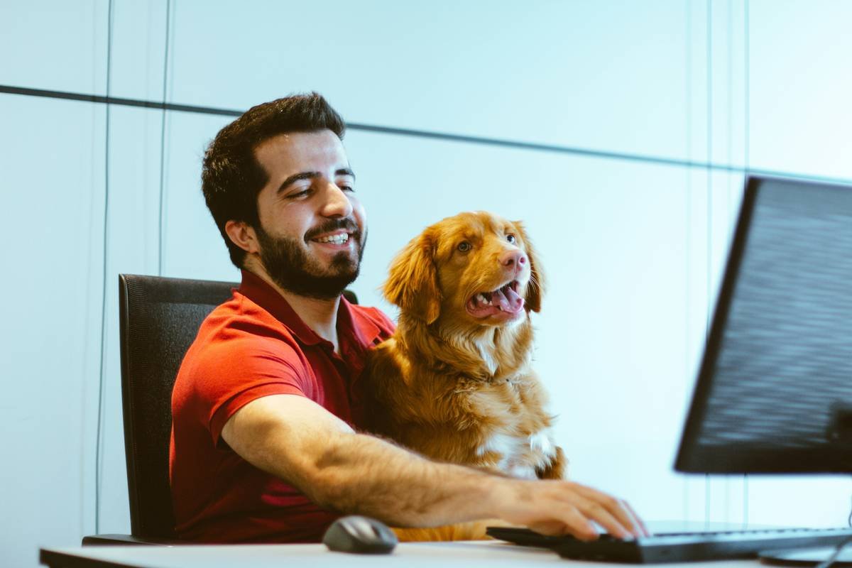 Why Your Pet System Integration Needs a Manual Override (And How to Set One Up Without Losing Your Mind)