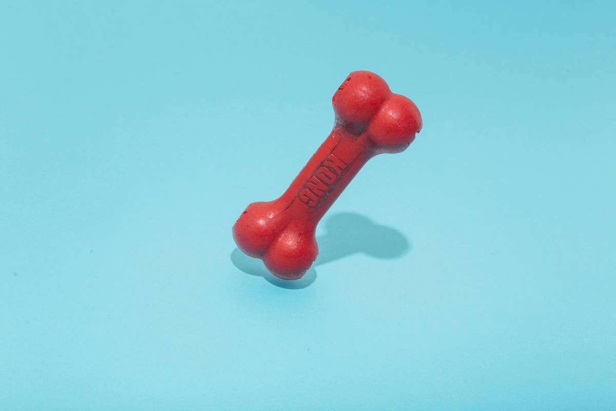 Why Your Pet Toy Lock Design Might Be Failing—And How to Fix It with Manual Override