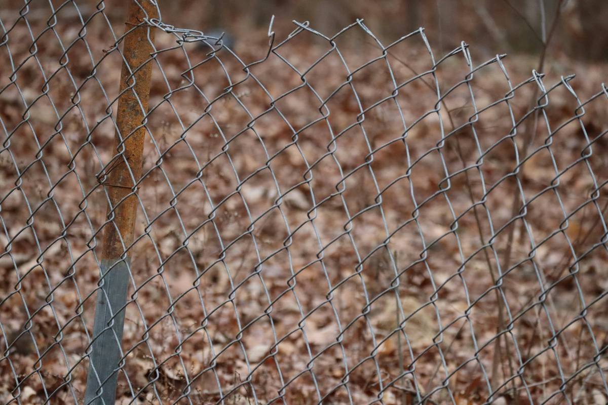 A chain link fence that's seen better days.