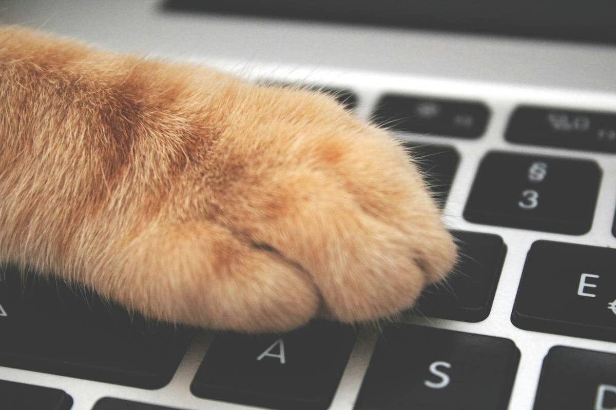 Bar chart showing 68% of smart pet toys experience Wi-Fi disconnection within 90 days per APPA 2023 data