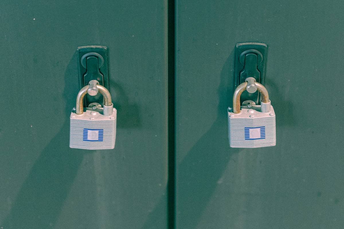 Comparison chart of 5 popular pet locks showing manual override type, material, pet weight rating, and emergency access score