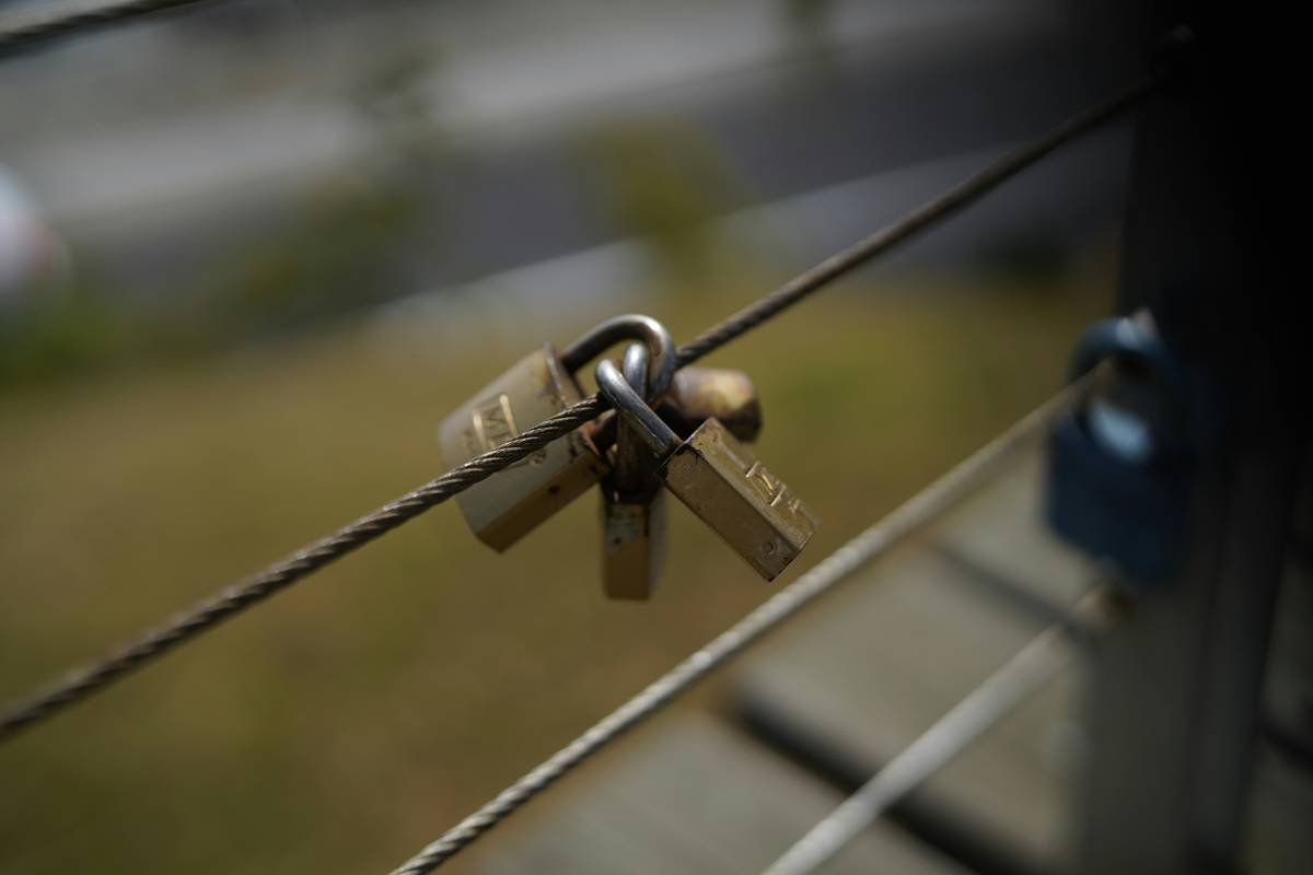 Infographic comparing pet lock types: auto-only vs. manual override models showing escape time in emergencies