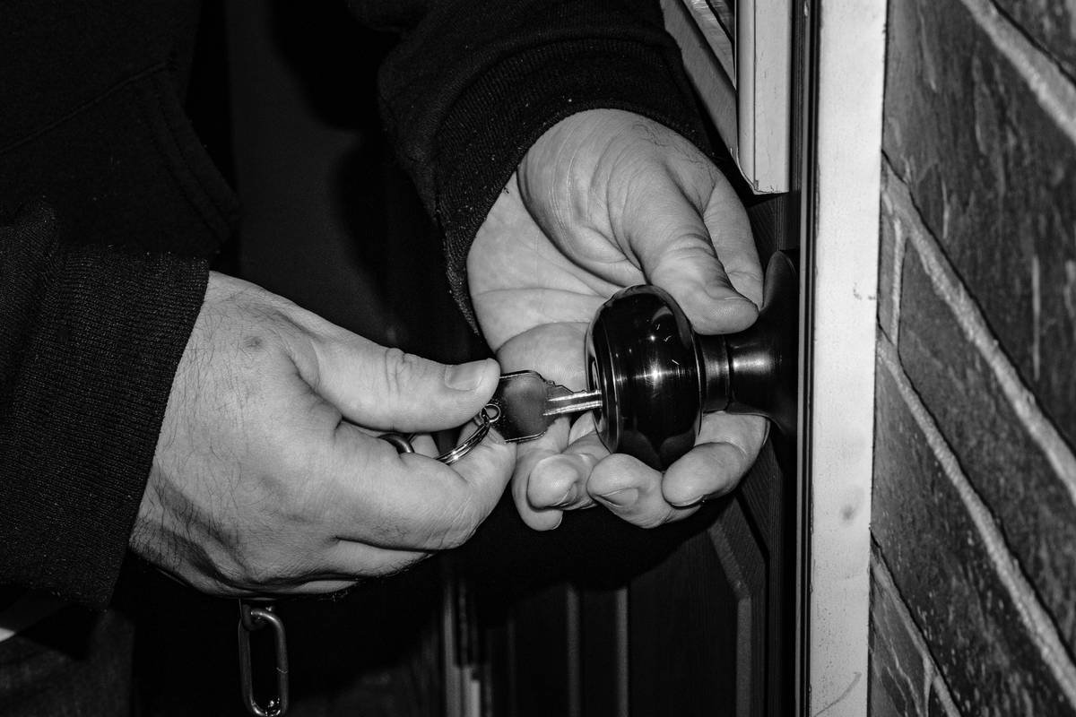 Infographic showing common failure points in pet locks: corroded pins, gummed-up sliders, chewed latches