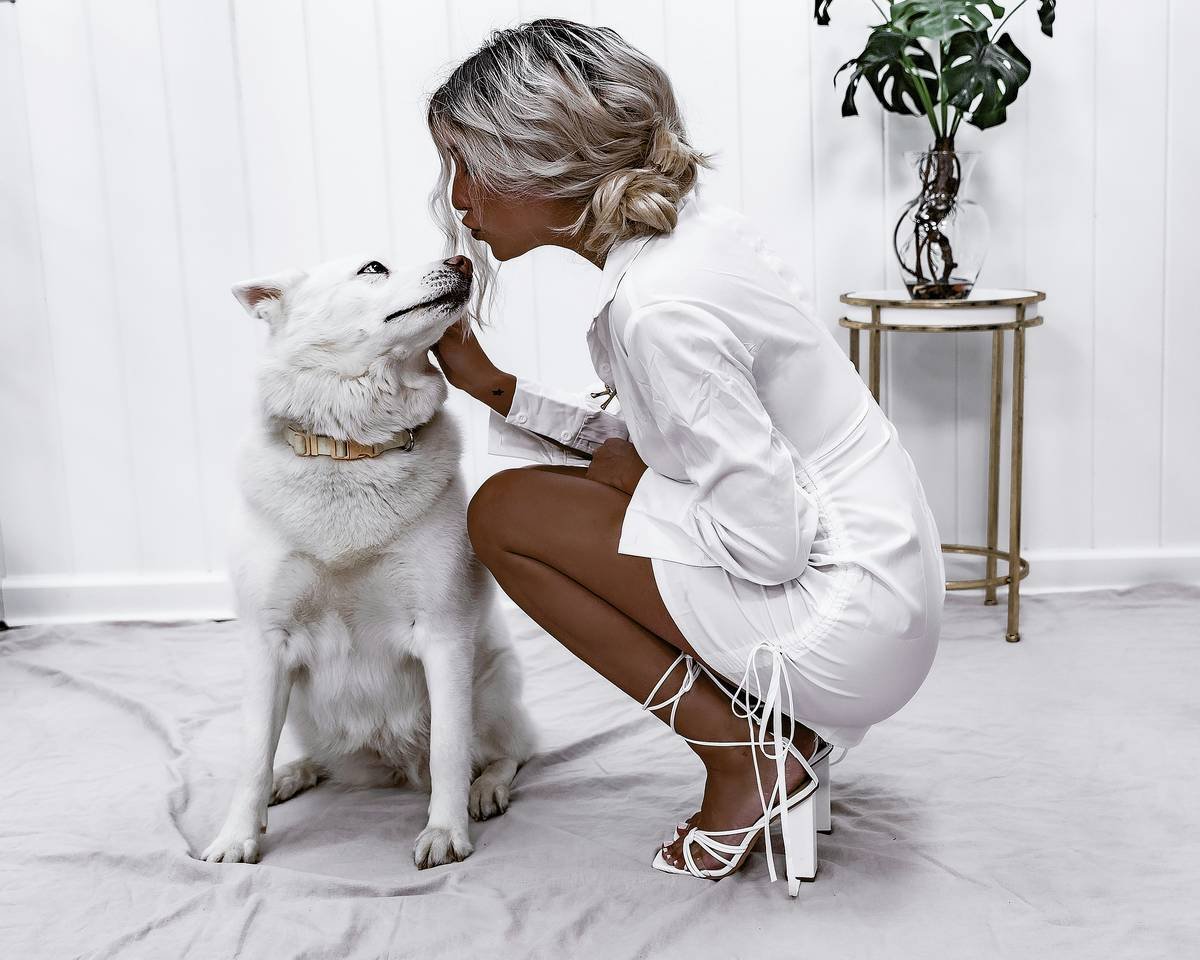 Please help support by following @dayinmydreams on Instagram xoxo fashion girl in white shirt dress kisses all white husky dog in a studio wearing luxury fashion