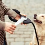 Why Your Handheld Pet Remote Is Secretly Sabotaging Training (And How to Fix It)