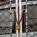 Why Your Pet Lock Inspection Could Save a Life (And How to Do It Right)