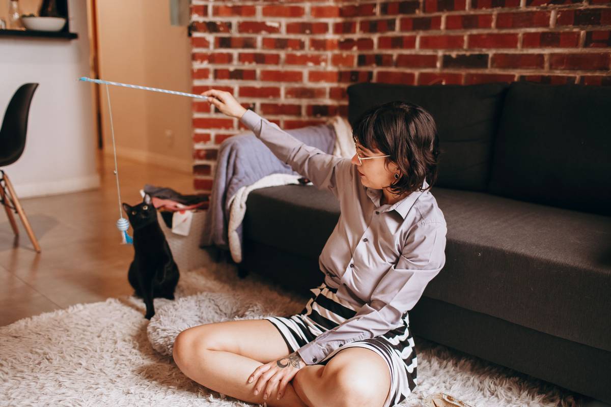 Why Your Pet Toy Syncing Keeps Failing (And How to Fix It with Manual Override)