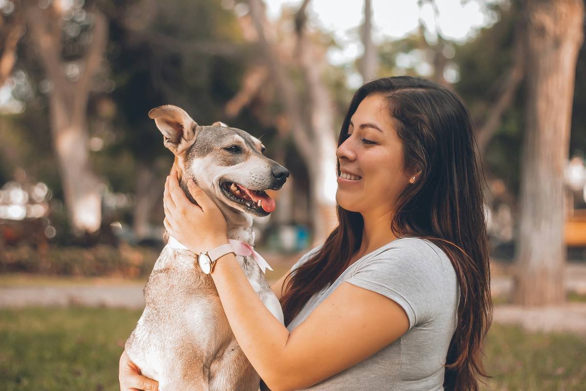 Why Your Voice Pet Control System Needs a Manual Override (And How to Get It Right)