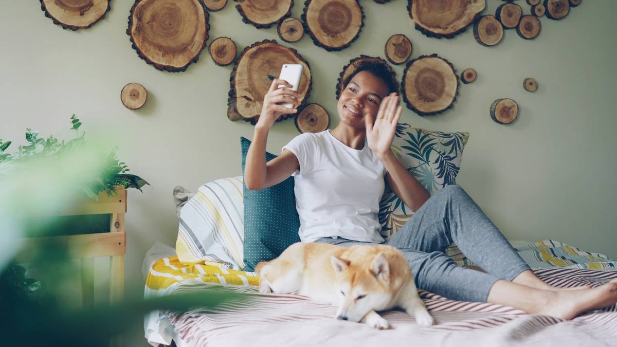 Dog reacting joyfully to remote pet interaction with manual override toy