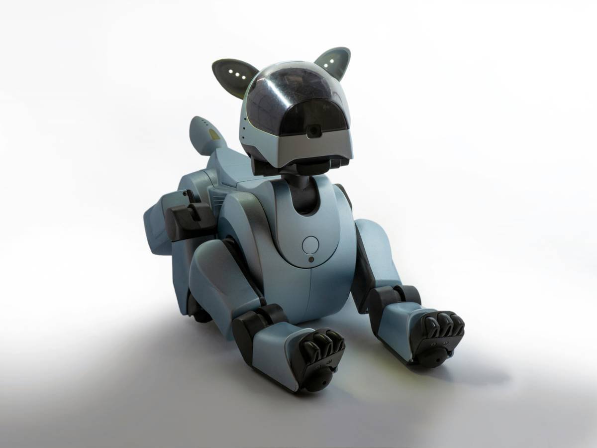 Comparison of smart pet commands interfaces showing manual override advantage