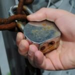 When Pet Locks Fail: Why Manual Override Isn’t Optional—It’s Essential