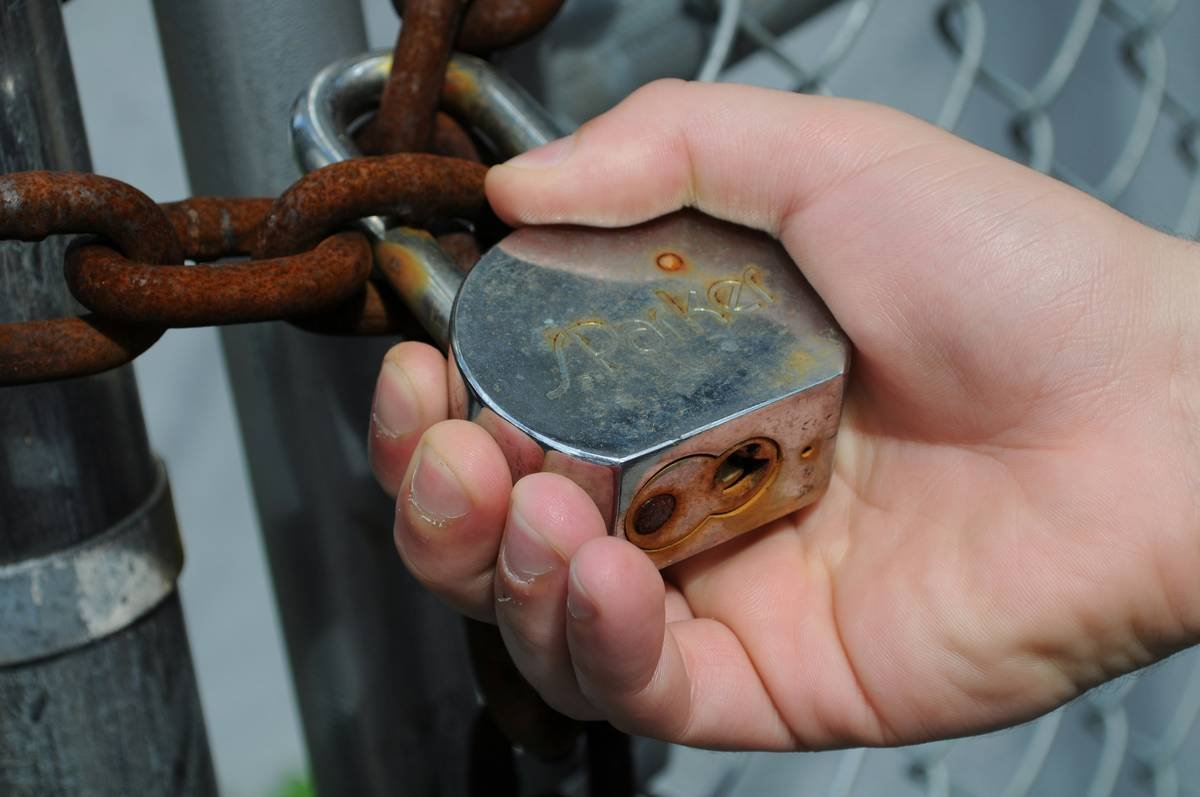 When Pet Locks Fail: Why Manual Override Isn’t Optional—It’s Essential