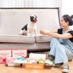 Why pet gadget compatibility is the silent killer of smart pet tech—and how to fix it