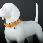 Why Your Pet Accessory Sync Keeps Failing (And How to Fix It for Good)
